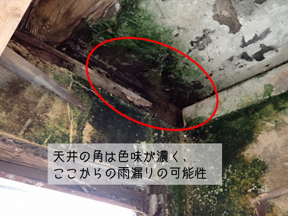 呉市　コンクリート屋根　雨漏り調査　天井角